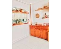 Alquiler a largo plazo - Estudio - Torrevieja - La Mata