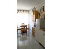 Alquiler a largo plazo - Estudio - Torrevieja - Playa del Cura