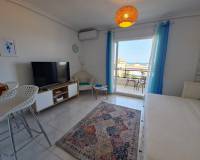 Alquiler a largo plazo - Estudio - Torrevieja - Torre la mata