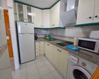 Alquiler a largo plazo - Estudio - Torrevieja - Torre la mata