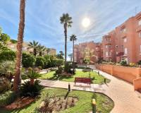 Alquiler a largo plazo - Ground Floor - Orihuela Costa - Dehesa de campoamor