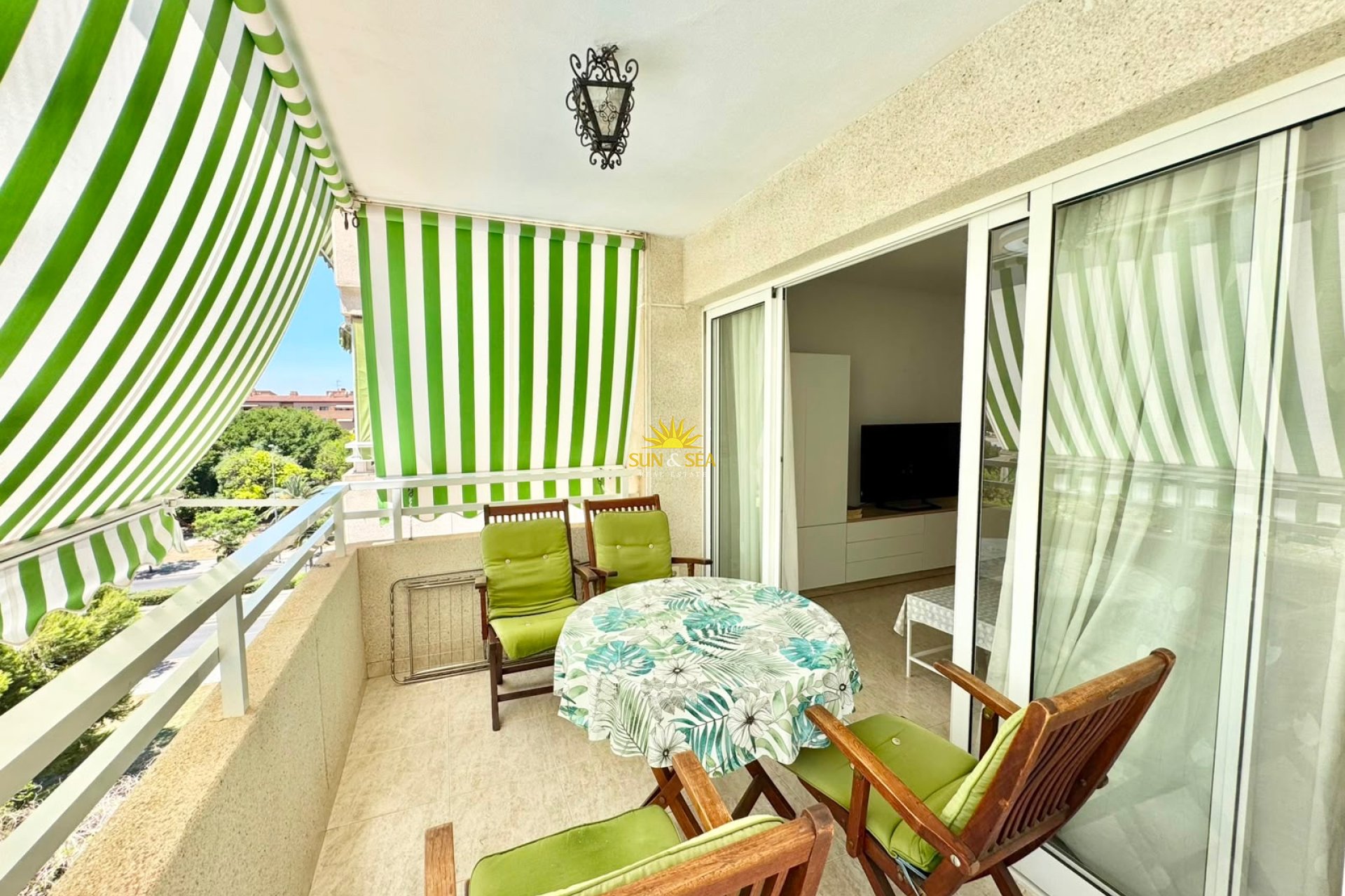 Alquiler de invierno - Apartamento - Alicante (Alacant)