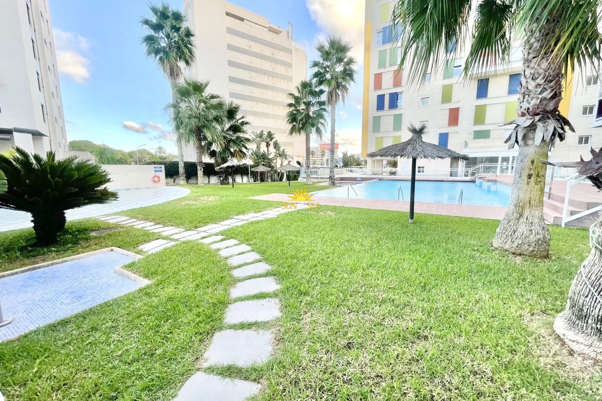 Alquiler de invierno - Apartamento - Alicante (Alacant)