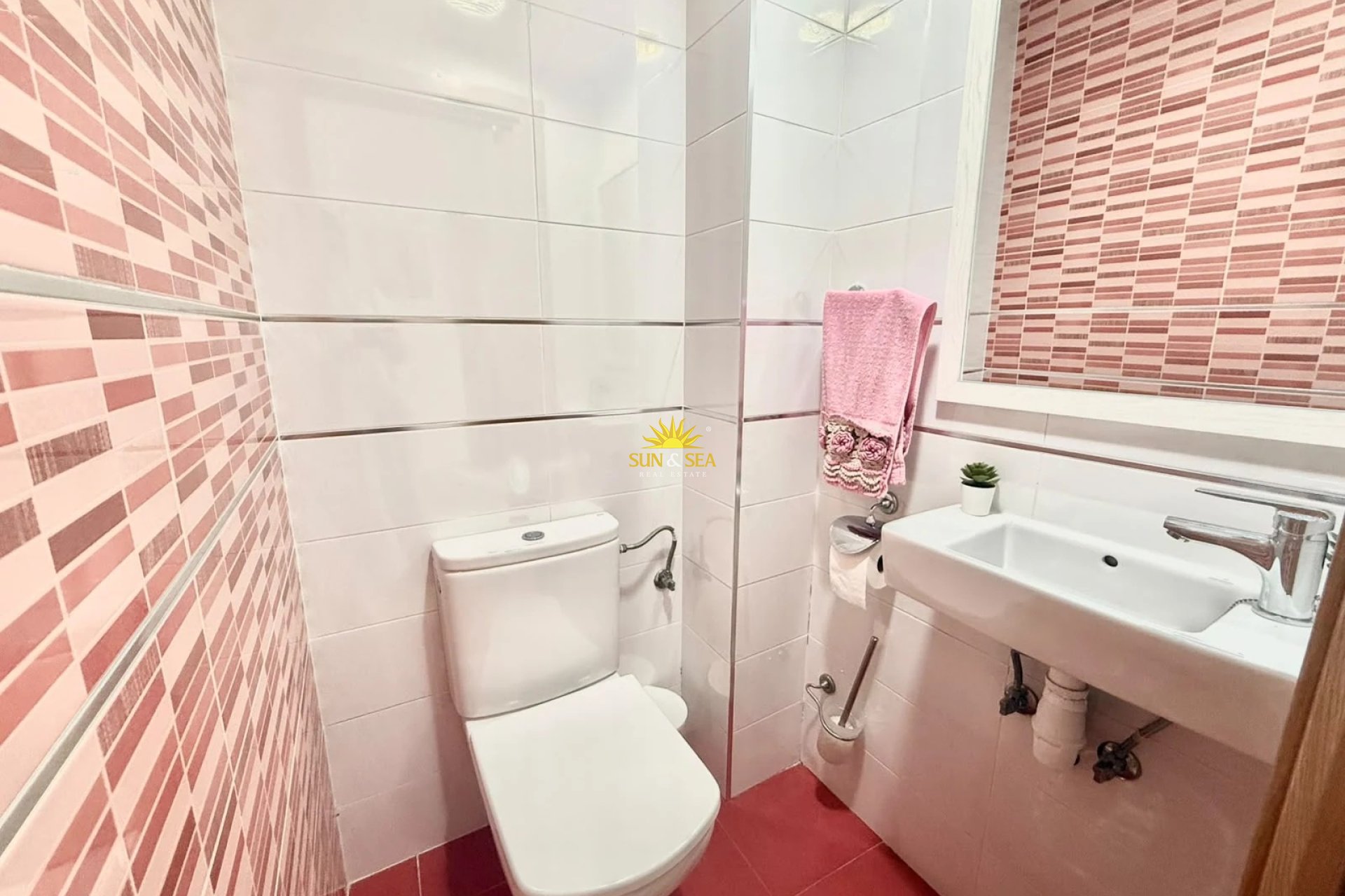 Alquiler de invierno - Apartamento - Alicante - Albufereta