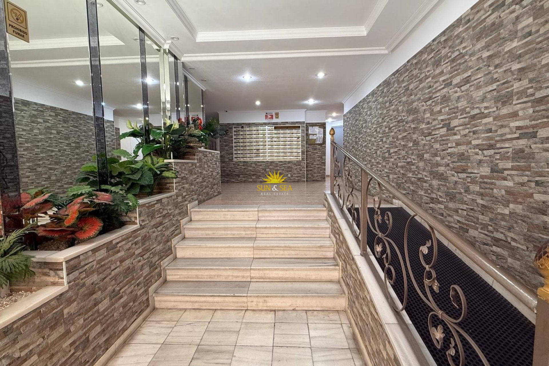 Alquiler de invierno - Apartamento - Torrevieja - Centro
