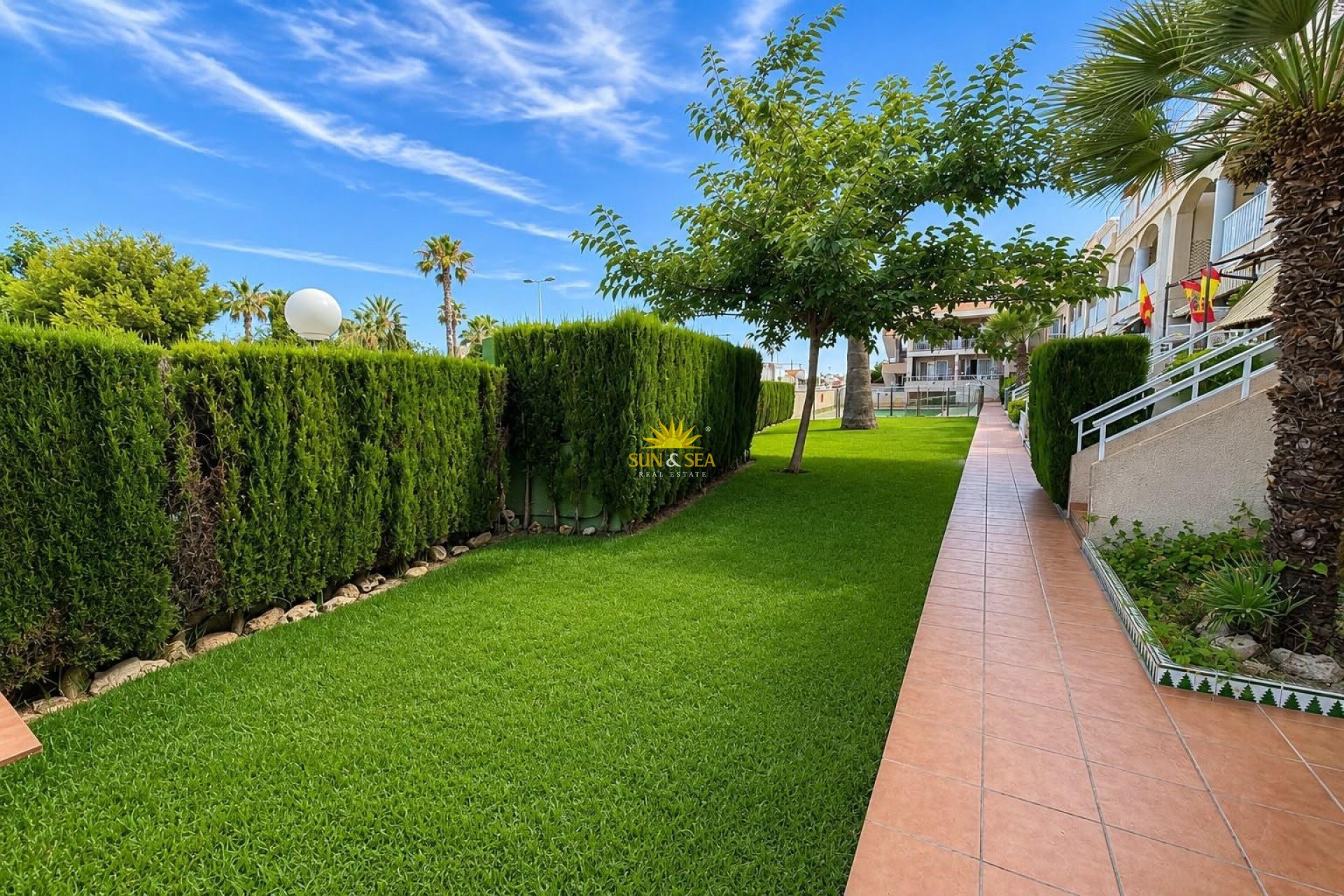 Alquiler de invierno - Apartamento - Torrevieja - torrevieja