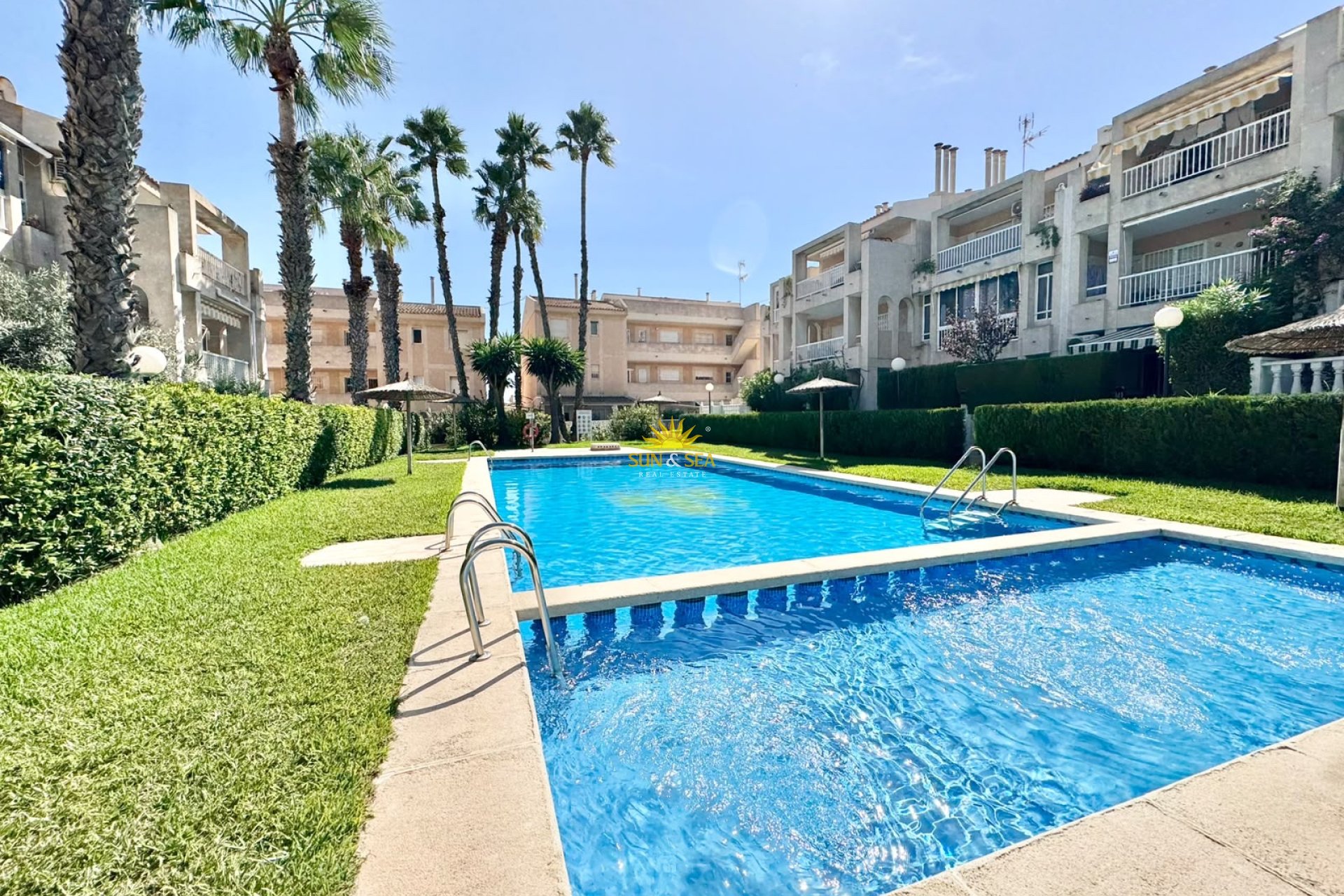Alquiler de invierno - Apartamento - Torrevieja - torrevieja