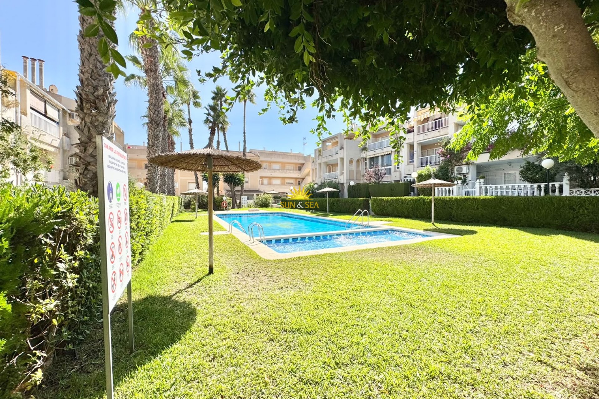 Alquiler de invierno - Apartamento - Torrevieja - torrevieja