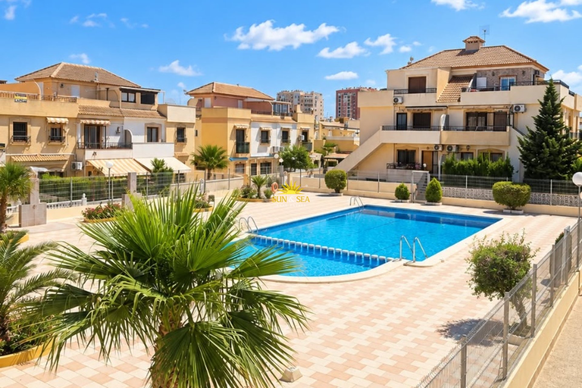 Alquiler de invierno - Apartamento - Torrevieja - torrevieja