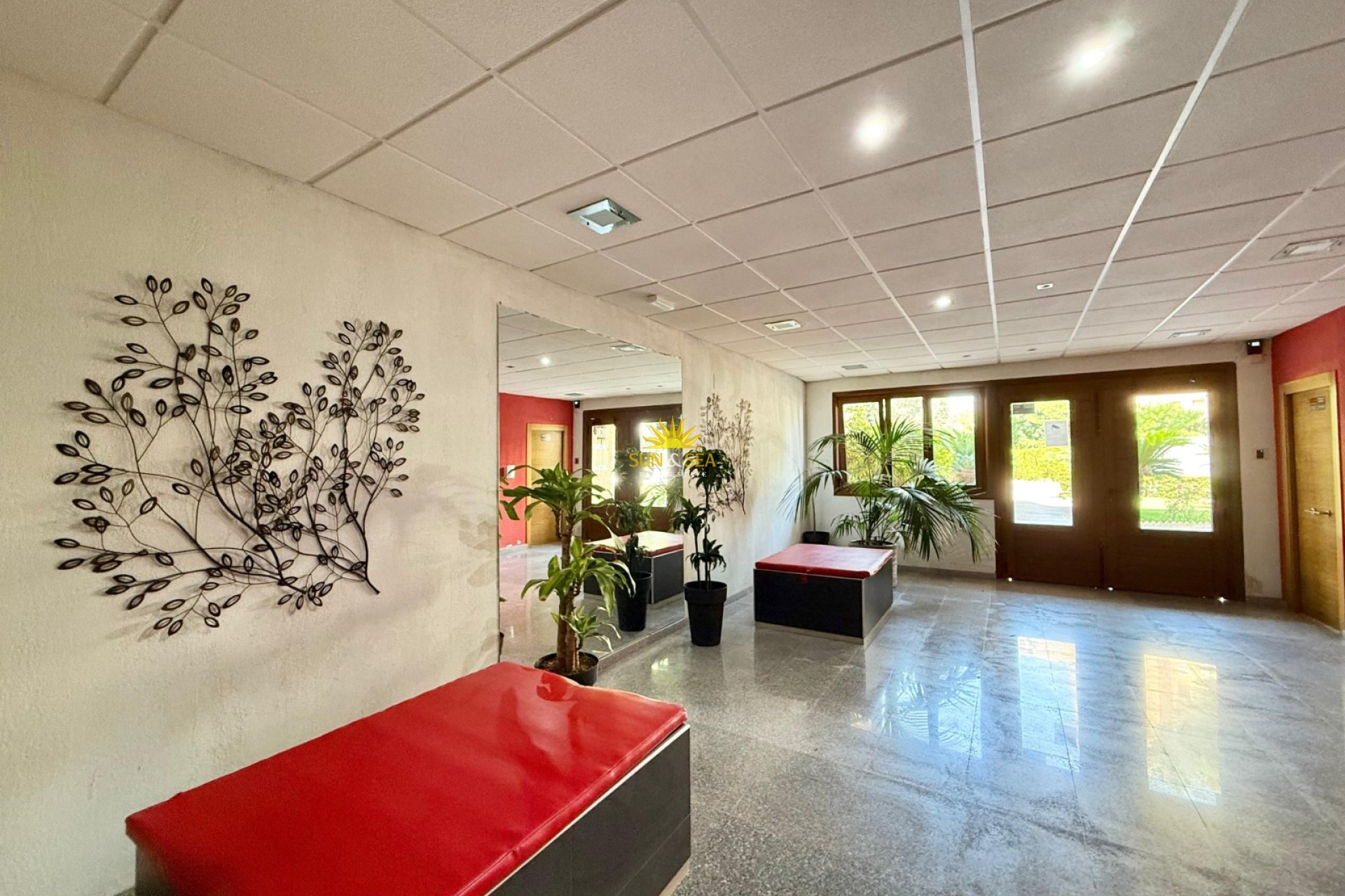 Alquiler de invierno - Estudio - Orihuela Costa - Dehesa de campoamor