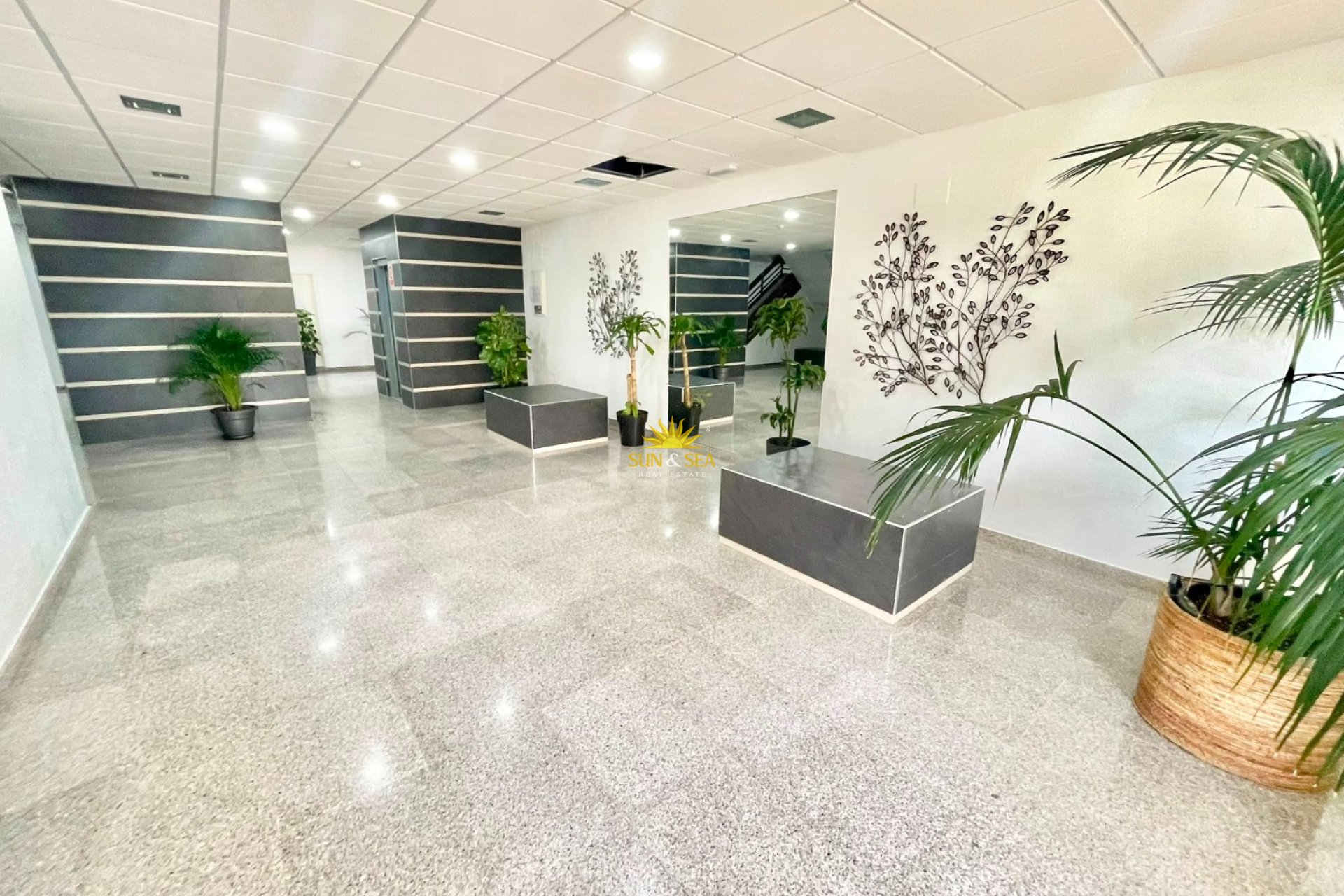 Alquiler de invierno - Estudio - Orihuela Costa - Dehesa de campoamor