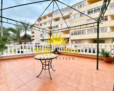 Apartamento - Alquiler a largo plazo - Guardamar del Segura - RENT-2250MG