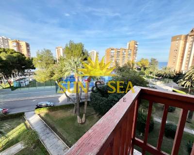 Apartamento - Alquiler a largo plazo - Orihuela Costa - RENT-257R