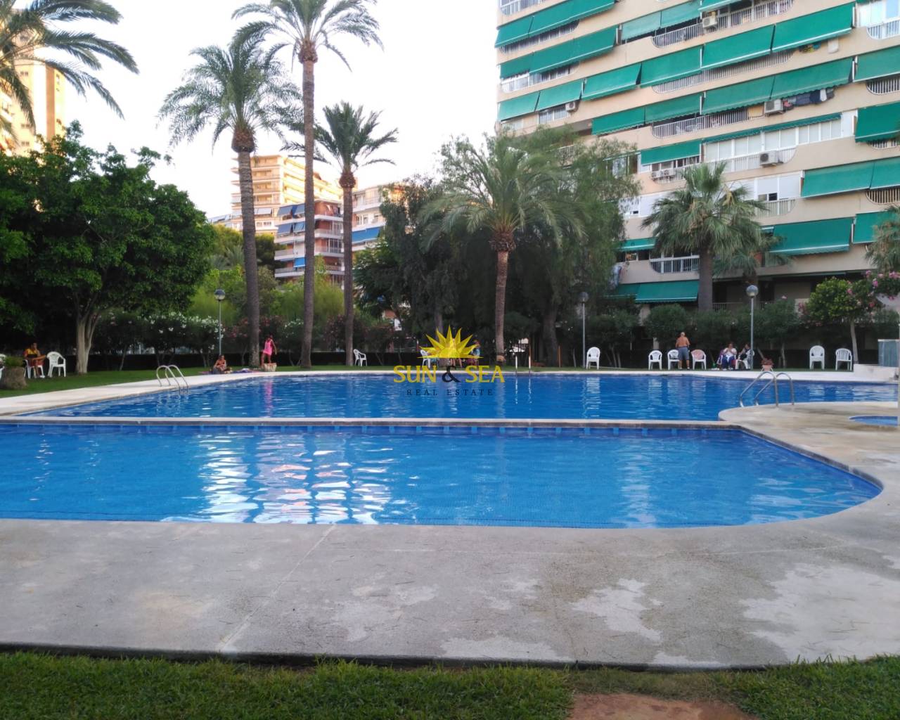 Apartamento - Alquiler a largo plazo - San Juan Playa - San Juan Alicante