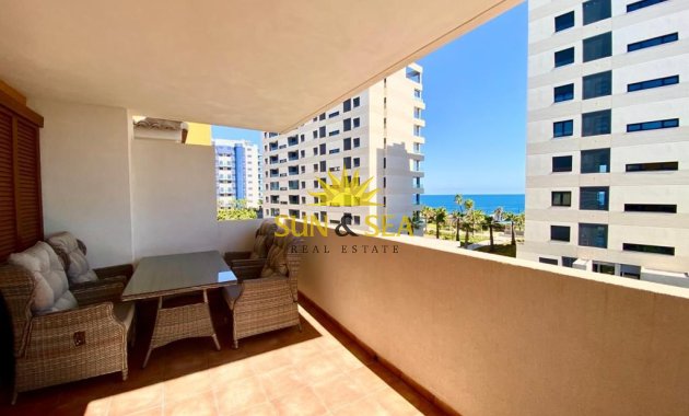 Apartamento - Alquiler a largo plazo - Torrevieja - Punta prima