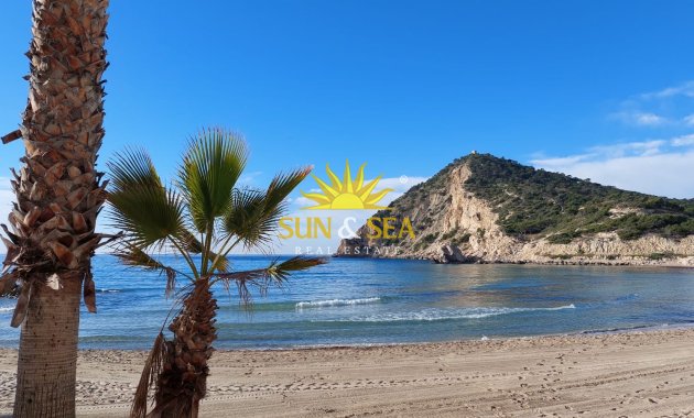 Apartamento - Alquiler de invierno - Benidorm - Benidorm
