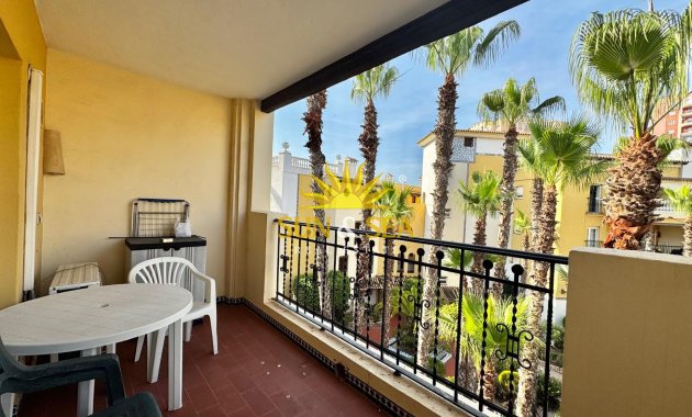 Apartamento - Alquiler de invierno - Torrevieja - torrevieja