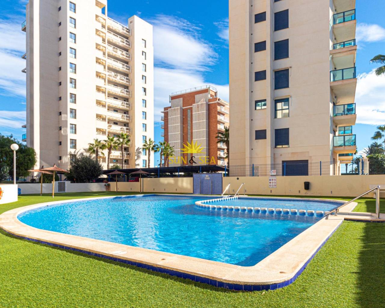 Apartamento - Venta - Torrevieja - La veleta