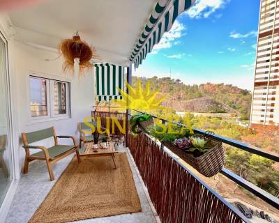 Apartment - Аренда на длительный срок - Benidorm - RENT-3071MG