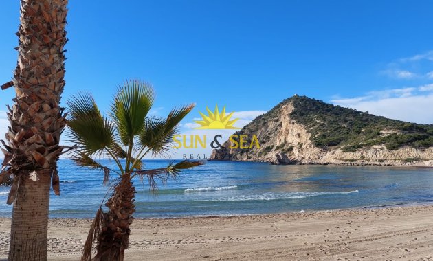 Apartment - Долгосрочная аренда - Benidorm - Benidorm