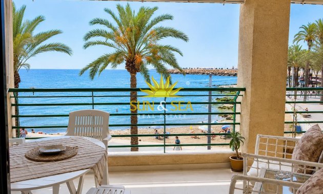 Apartment - Long Term Rental - Torrevieja - torrevieja