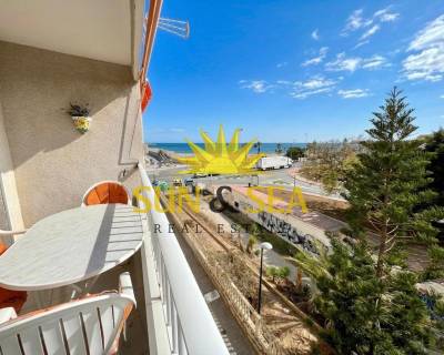 Apartment - Long time Rental - Torrevieja - RENT-1514MR