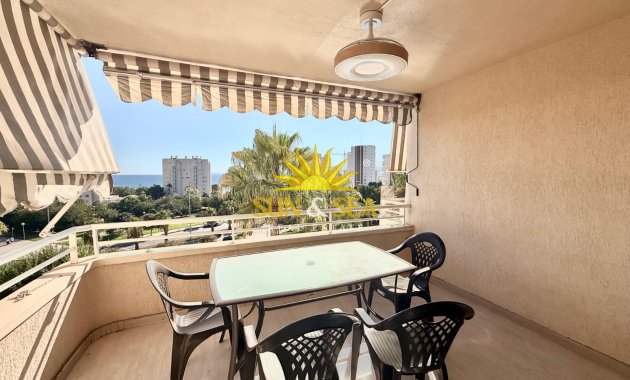 Apartment - Winter rental - Alicante (Alacant) - Alicante (Alacant)