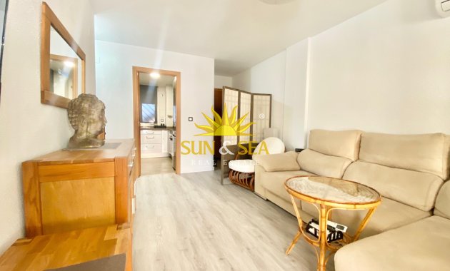 Apartment - Winter rental - Alicante (Alacant) - Alicante (Alacant)