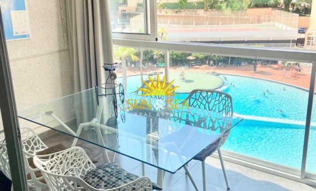 Apartment - Winter rental - Benidorm - Benidorm