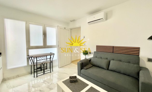 Apartment - Winter rental - Torrevieja - torrevieja