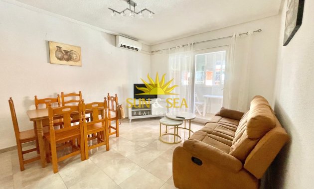 Apartment - Winter rental - Torrevieja - torrevieja