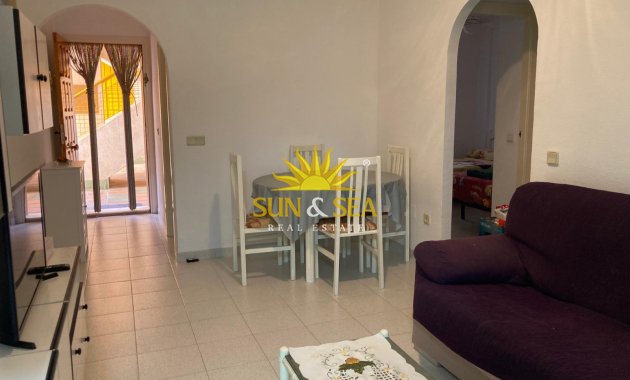 Apartment - Winter rental - Torrevieja - torrevieja