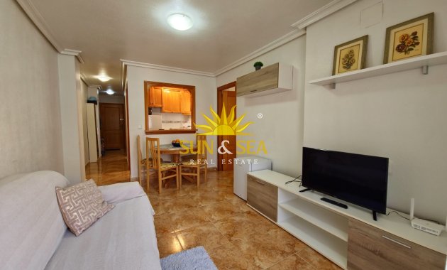 Appartement - Lange Termijn Verhuur - Torrevieja - torrevieja