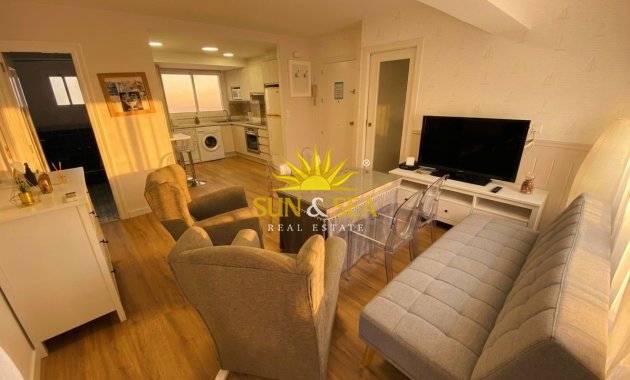 Appartement - Lange Termijn Verhuur - Torrevieja - torrevieja