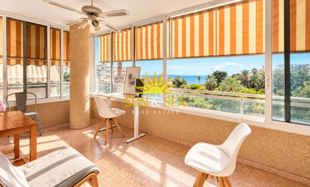 Appartement - Location à long terme - Alicante (Alacant) - Alicante (Alacant)