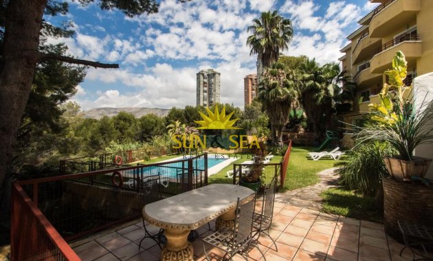 Appartement - Location à long terme - Benidorm - Benidorm
