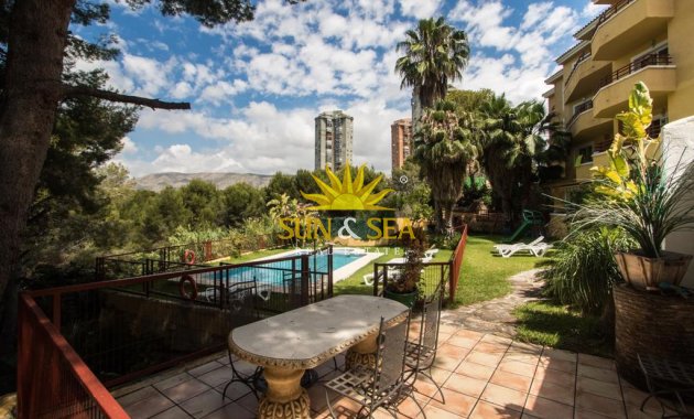 Appartement - Location d’hiver - Benidorm - Benidorm