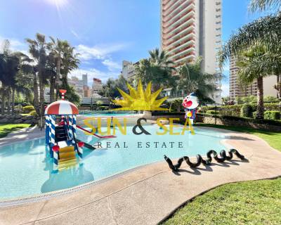 Appartement - Location longue durée - Benidorm - RENT-910MSP