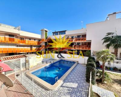 Appartement - Location longue durée - Torrevieja - RENT-868SSP