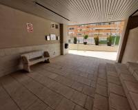 Аренда на длительный срок - Apartment - Alicante - Carolinas Altas