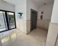 Аренда на длительный срок - Apartment - Alicante - Carolinas Altas