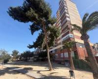 Аренда на длительный срок - Apartment - Alicante - Cuatro viviendas