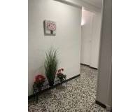 Аренда на длительный срок - Apartment - Alicante - Florida Alta