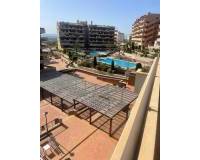 Аренда на длительный срок - Apartment - Arenales del Sol - Arenales