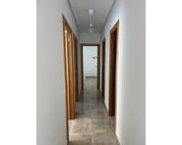 Аренда на длительный срок - Apartment - Elche - Center