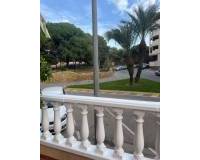 Аренда на длительный срок - Apartment - Guardamar del Segura - Guardamar Playa