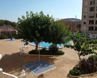 Аренда на длительный срок - Apartment - Guardamar del Segura - Guardamar Playa