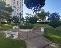 Аренда на длительный срок - Apartment - Orihuela Costa - Dehesa de campoamor