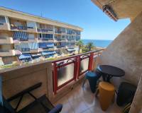 Аренда на длительный срок - Apartment - Pilar de la Horadada - Mil Palmeras