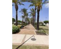 Аренда на длительный срок - Apartment - Torre Pacheco - Torrepacheco